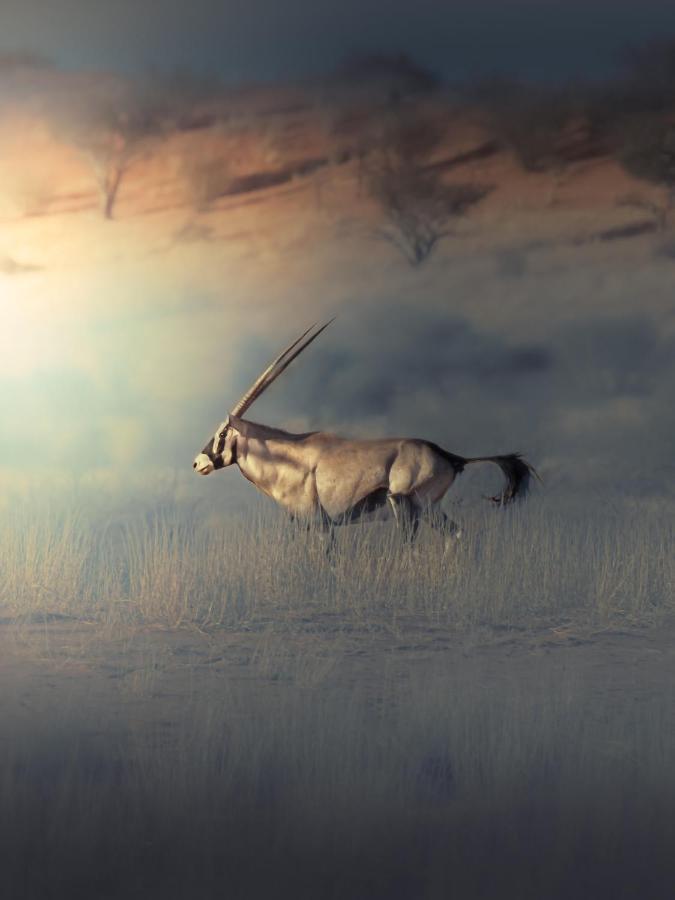 فيلا Bagatelle Kalahari Game Ranch Hardap المظهر الخارجي الصورة