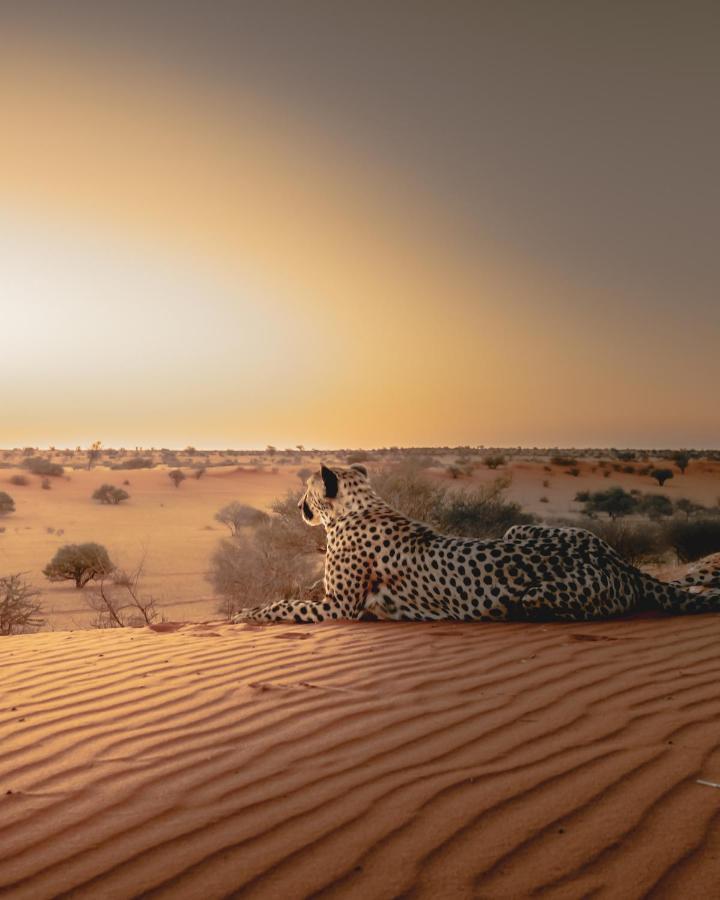فيلا Bagatelle Kalahari Game Ranch Hardap المظهر الخارجي الصورة