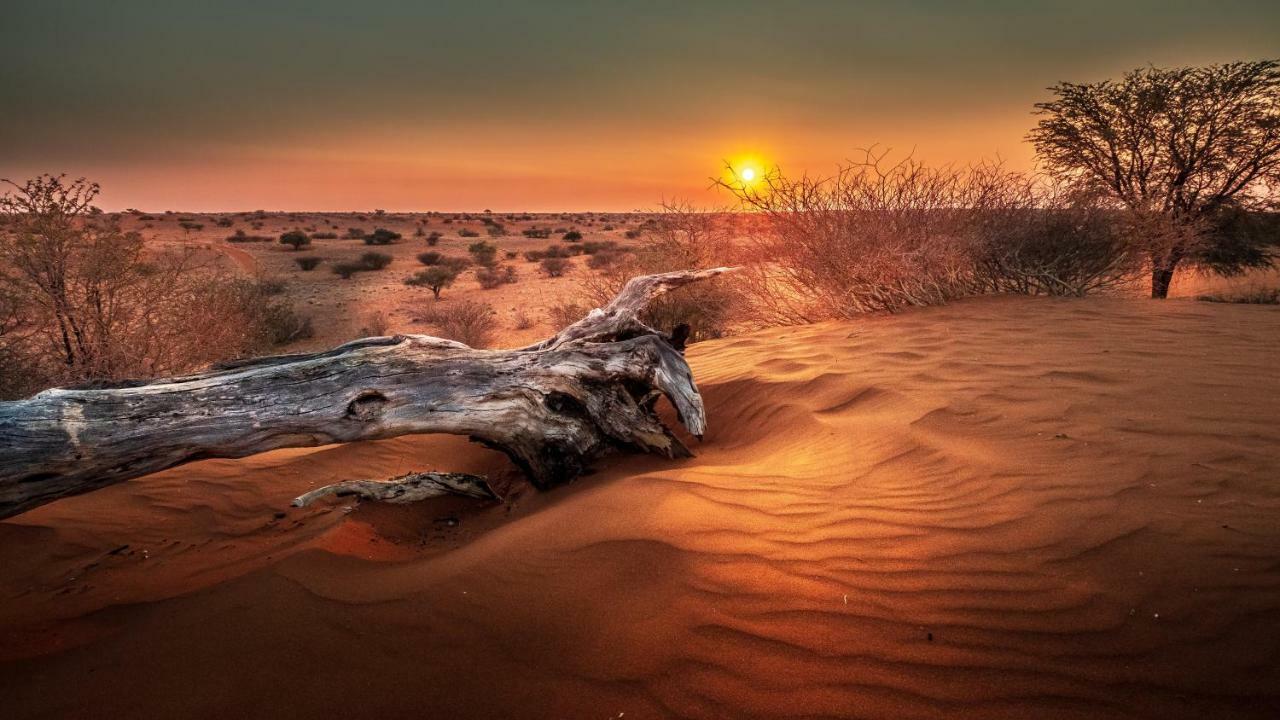 فيلا Bagatelle Kalahari Game Ranch Hardap المظهر الخارجي الصورة