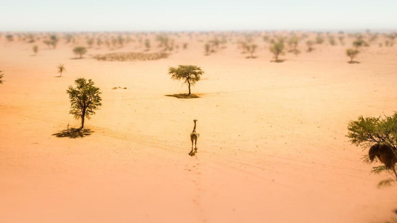 فيلا Bagatelle Kalahari Game Ranch Hardap المظهر الخارجي الصورة