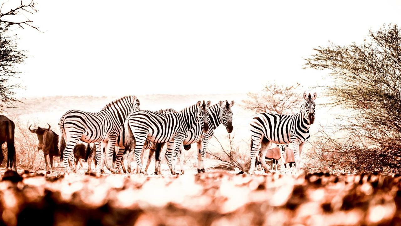 فيلا Bagatelle Kalahari Game Ranch Hardap المظهر الخارجي الصورة