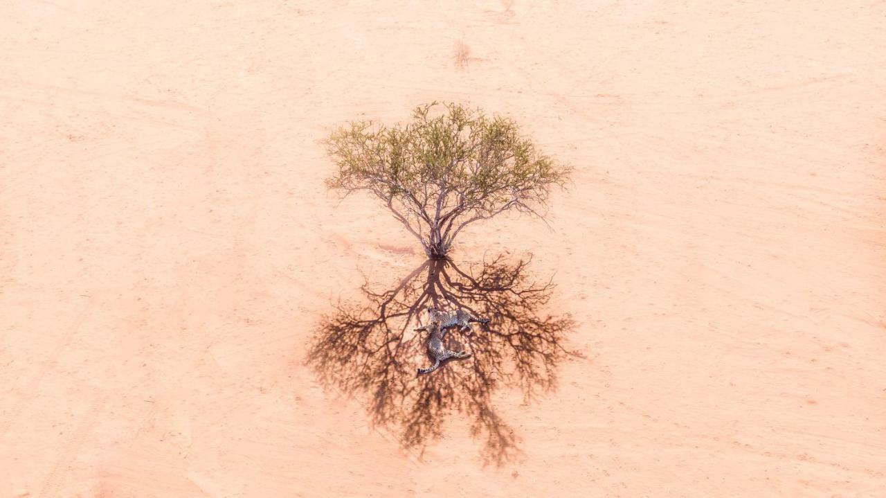 فيلا Bagatelle Kalahari Game Ranch Hardap المظهر الخارجي الصورة