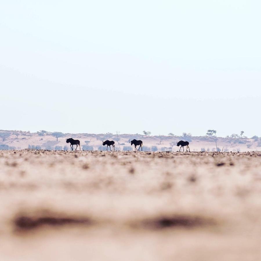 فيلا Bagatelle Kalahari Game Ranch Hardap المظهر الخارجي الصورة