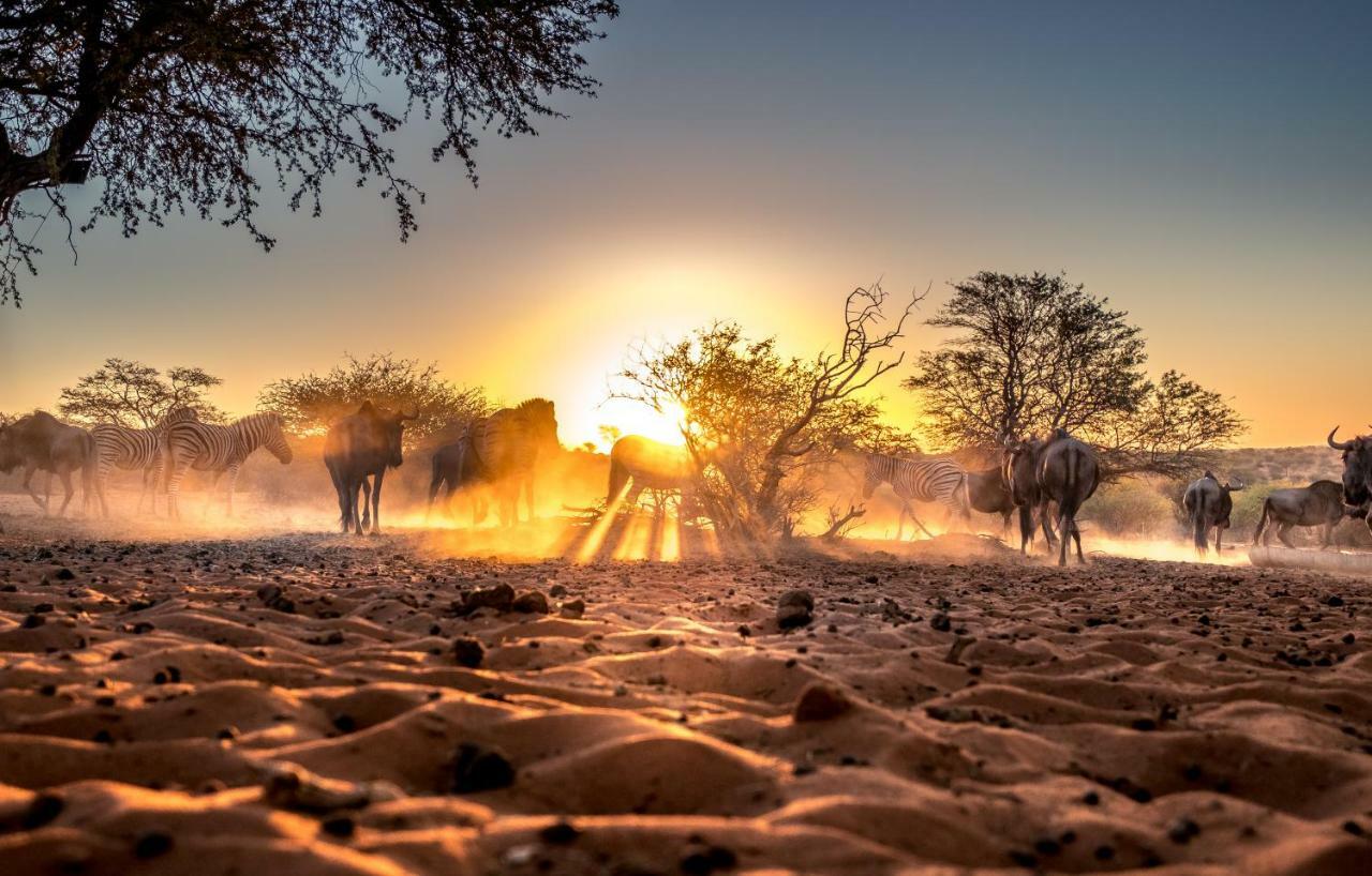 فيلا Bagatelle Kalahari Game Ranch Hardap المظهر الخارجي الصورة