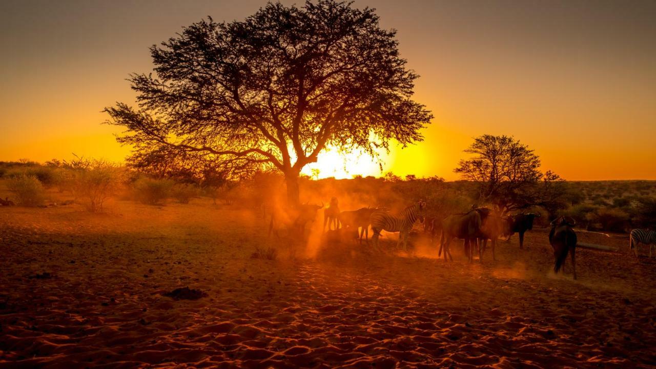 فيلا Bagatelle Kalahari Game Ranch Hardap المظهر الخارجي الصورة