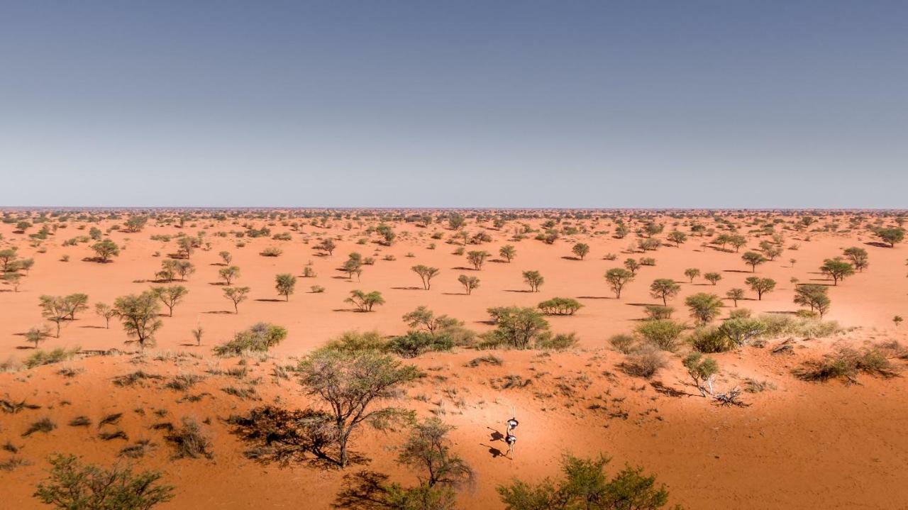 فيلا Bagatelle Kalahari Game Ranch Hardap المظهر الخارجي الصورة